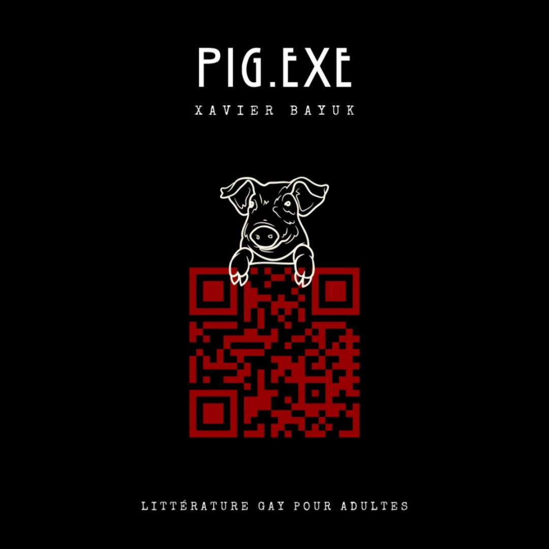 Couverture carrée du roman gay PIG.EXE de Xavier Bayuk.